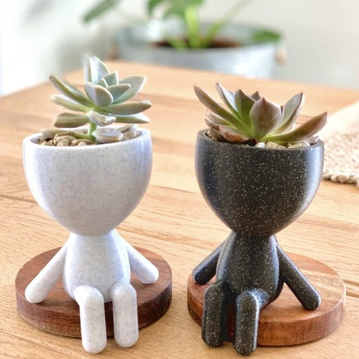 3D Printed Planters